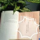 정의로운식탁 | 다산은 아들을 이렇게 가르쳤다 책 내용 중에서