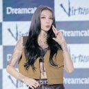 다미 이미지