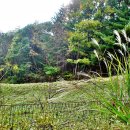 화현 분청사기 요지 이미지