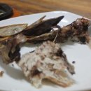 청송참치 이미지