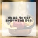 슬기로운 스마트폰 활용 | 목, 어깨, 허리 아픈 곳은 이제 그만! 슬기로운 도수치료 이야기