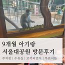기롱 | 9개월 아기랑 서울대공원 방문후기 | 수유실 위치, 주차꿀팁, 운영시간, 무료셔틀, 코끼리열차, 리프트