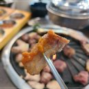 금성식당 네이버블로그