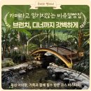 스타바스 | 즐겨요 부모님 아이데리고 꼭 와보세요 바스타미 솔직후기 동탄 카페, 디너 식사 동탄 베이커리 카페