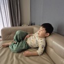 911 매일의원 이미지