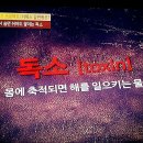 디톡스 끝판왕/독소/활성산소 이미지