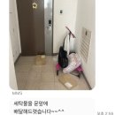우리동네세탁소(런닝맨운동화빨래방) | 도안동 세탁소 수거배달 런닝맨운동화빨래방