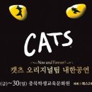 (공연) 캣츠 오리지널 내한공연2 이미지