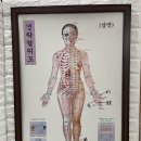 반곡동_국토연구원앞 | 세종 반곡동 건식 스포츠 마사지 후기 바른체형연구원