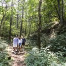 휘닉스 호텔 이미지