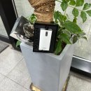 안양 전자담배 투맨베이프 평촌점 방문 후기