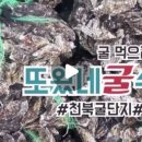 또왔네굴수산