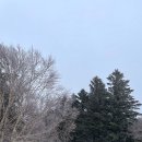 수향목장 이미지