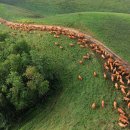 소유목장 이미지