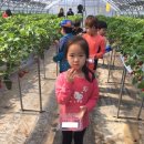 김주원농장 이미지