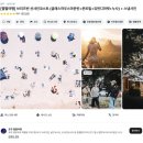 별별하우스 | 별별여행사 선샤인코스트 (글래스하우스마운틴...누사비치) 데이 투어 후기 - 2025년 4월 마이리얼트립