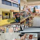 [경북 안동] 그냥 지나칠 수 없는 안동 귀염뽀짝한 소품샵, 벨라블리