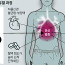 핏걸(방학점) 이미지