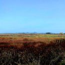 노을빛 정원 이미지