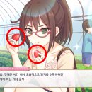 과일랜드 Daum카페