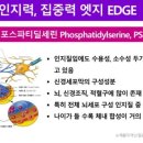 아마레 이미지