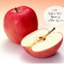 진솔식품