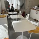 카페 댕하루 이미지