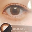 에스텔뷰티샵