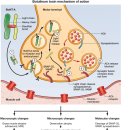 드림치주과치과의원 이미지