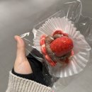 희남매목장 | 2024.02.23-03.07