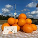 동연농장 이미지