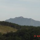 장산제 이미지