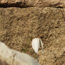 법흥2리 이미지