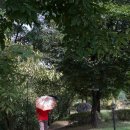 호미골체육공원 이미지