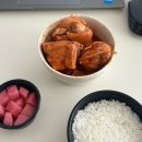 케이렌트카(주) | 12월 둘째주, 셋째주 / 제주 스냅 준비 그리고 촬영 후