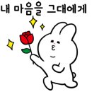 스마트디앤피