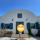 늘푸른충전소 | 제주 서귀포 귤체험 카페 애견동반 가능한 삼달리 크렘브륄레 맛집 : 덴드리