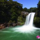 대우동양세탁 이미지