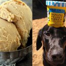 퍼피 베어(PUPPY-BEAR) 이미지