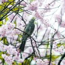 배화학교 이미지