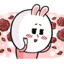 스냅카페 이미지