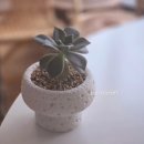 김천모암초등학교 이미지