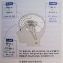 장애 자녀의 자립을 위한 부모의 마음가짐과 긍정적 행동지원 | &lt;완벽한 부모가 놓친 것들&gt; 책요약리뷰(원제:고학력 부모라는 병)