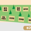 뮤지엄비치캠프 이미지