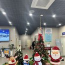 막창도둑(초전점) | 11/17-11/23 도시락 쌌는데 밥 사먹기, 초전공원 거북이 관찰, 소셜 다이닝 먹기