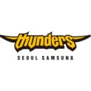 서울체육관 | 남자농구 서울삼성썬더스 잠실실내체육관 직관 후기