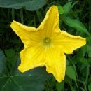 덕용농장 이미지