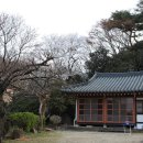천연올