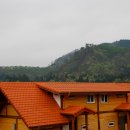 보성녹차리조트 이미지