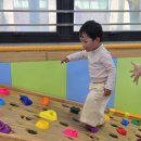 짐슐레 | 일산 문센 트니트니 같은 유아체육수업 짐슐레 24개월 아기 수강후기